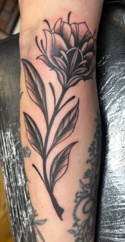 WhatsApp Image 2025-11-12 at 10.30.47