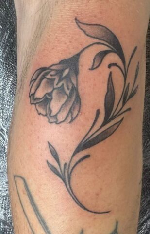 WhatsApp Image 2025-11-12 at 10.31.11 (1)