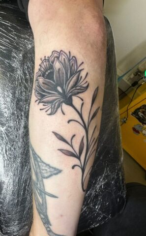 WhatsApp Image 2025-11-12 at 10.31.12